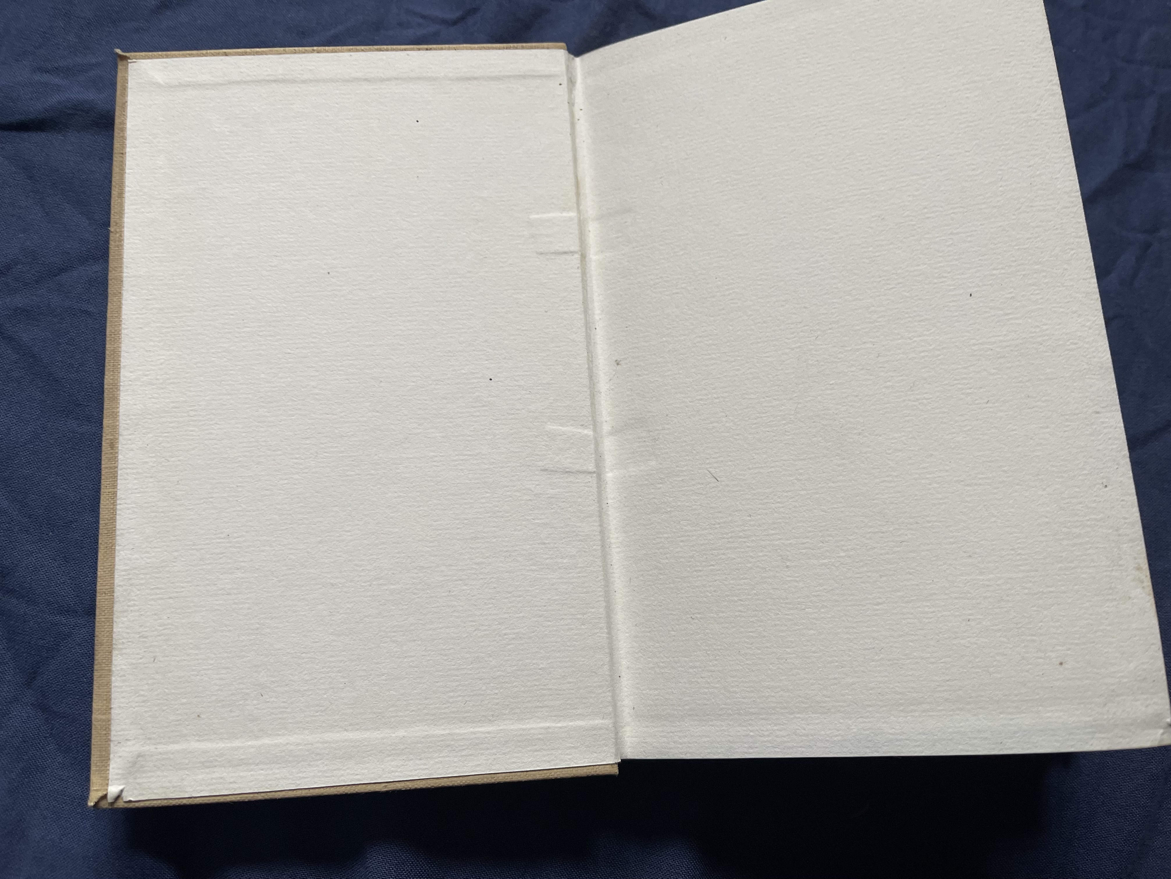 THE SONNETS OF CECCO ANGIOLIERI Done Into English Doggeral [30 copies only printed]