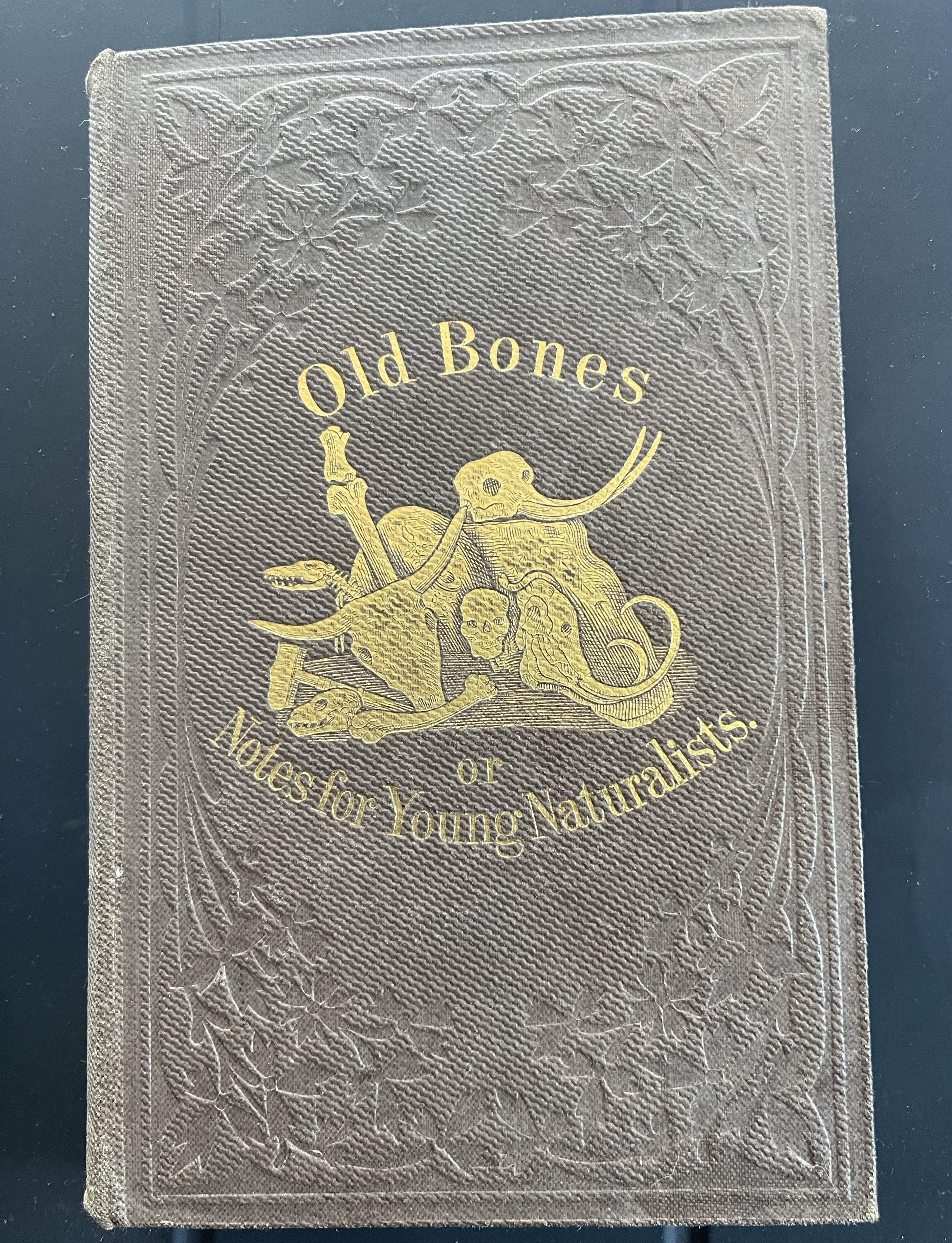 OLD BONES ; Or, Notes for Young Naturalists, on Vertebrate Animals, Their Fossil Predecessors and Allies