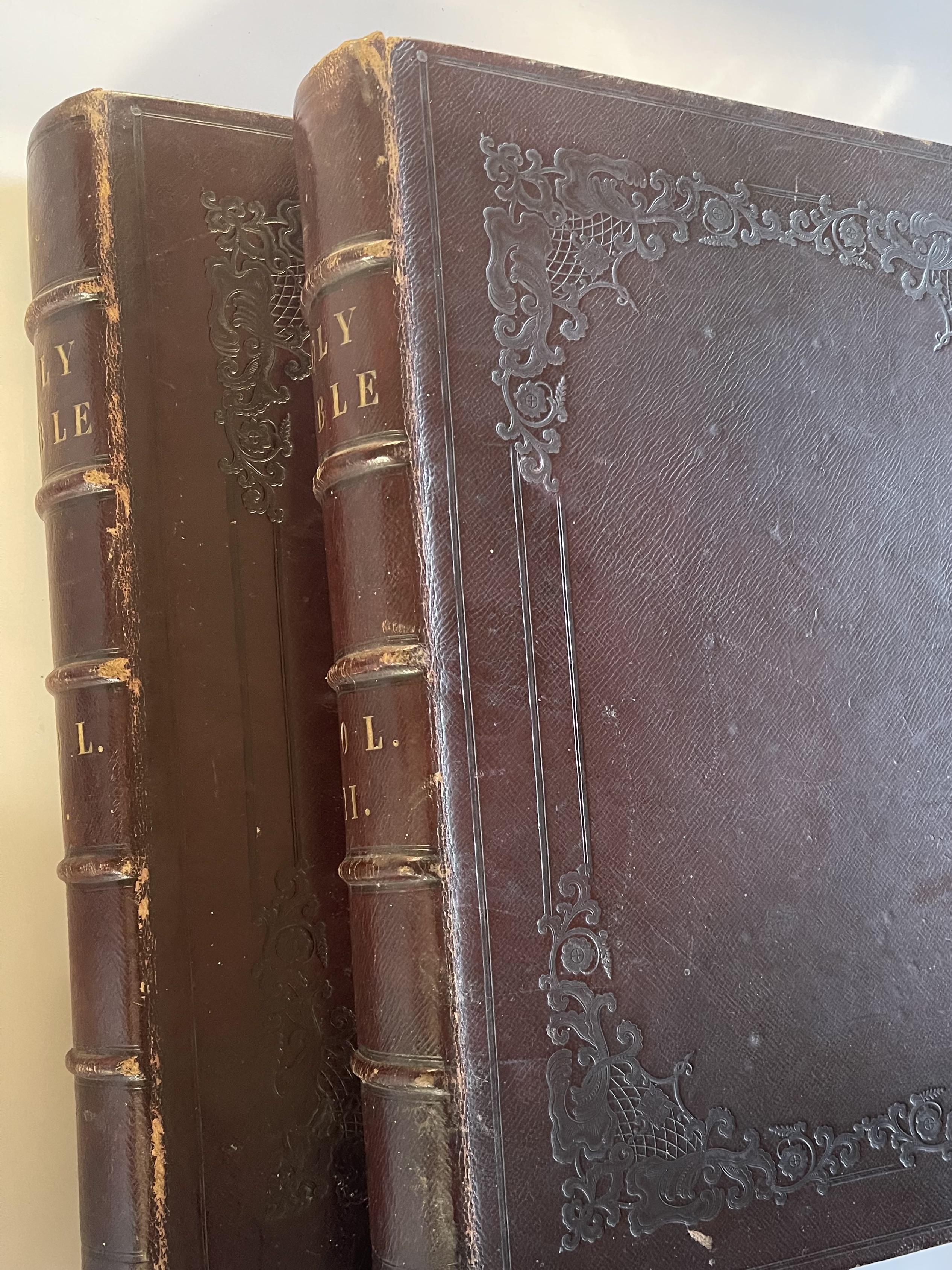THE IMPERIAL FAMILY BIBLE Containing The Old and New Testaments According to The Authorised Version